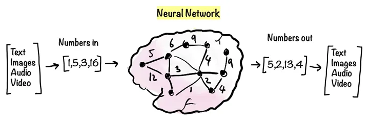 Data in and out of neural networks