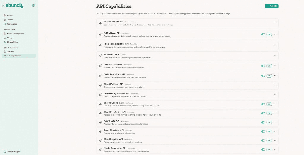 API Capabilities admin view showing workspace-wide enable/disable toggles for each API capability