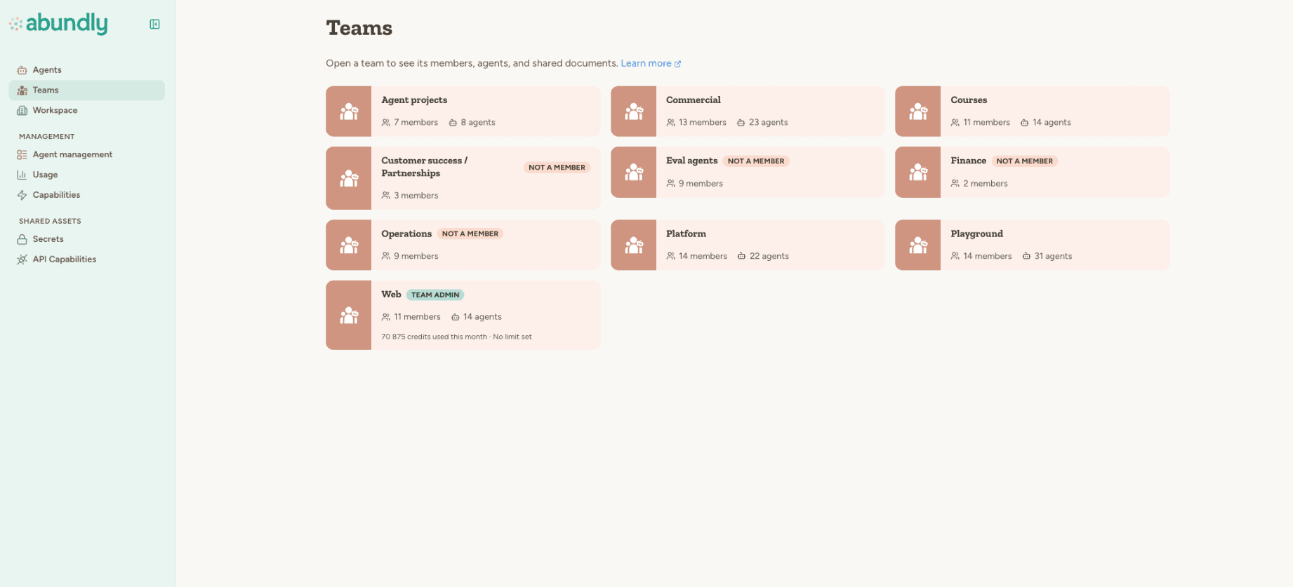 Teams page showing a workspace with teams as departments, team admin roles, and member visibility